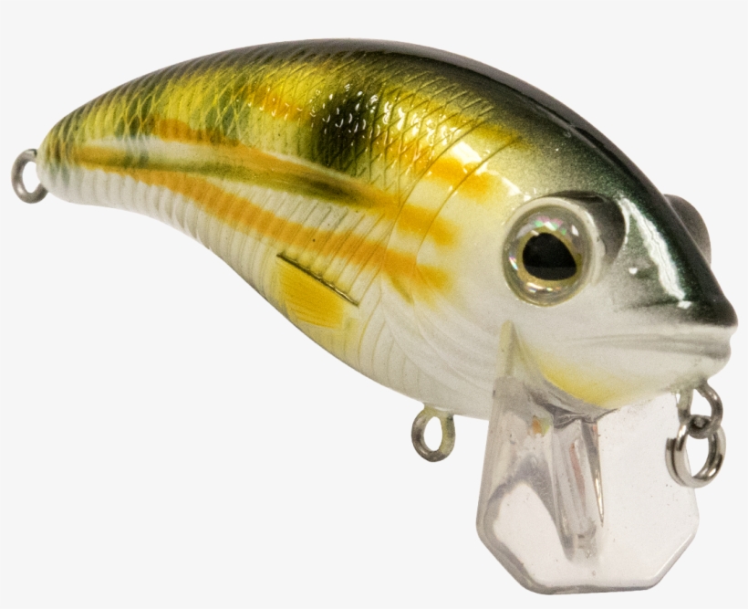 Bull Nose - Bullnose, transparent png