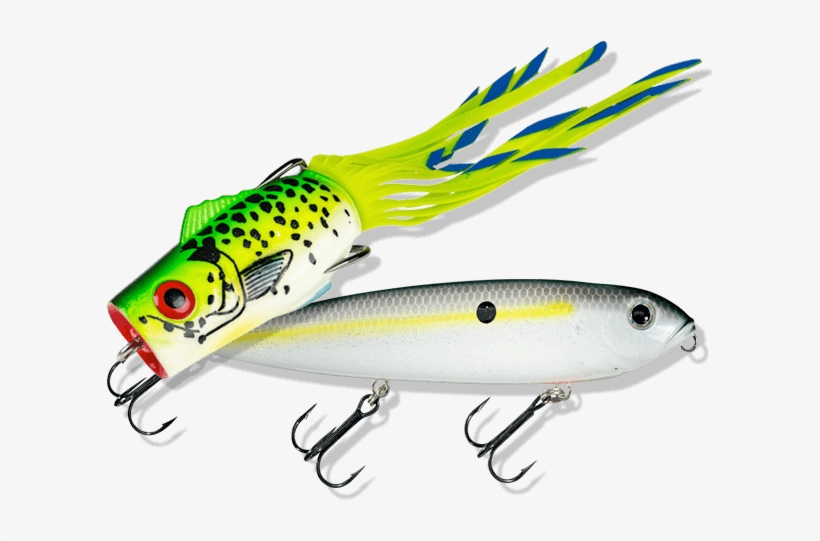 Shop Topwater & Frogs - Topwater Fishing Lure, transparent png