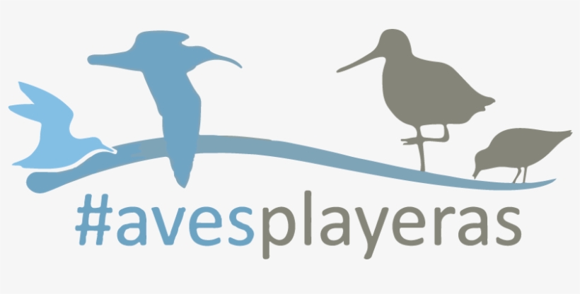 Social Media - Coche Island, transparent png