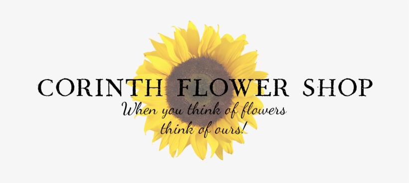 Corinth Flower Shop - Day In The Life Of...: More Amazing Misadventures [book], transparent png