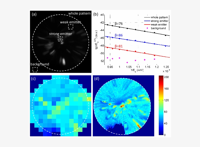 The White Dashed Circle Indicates The Boundary Of The - Circle, transparent png