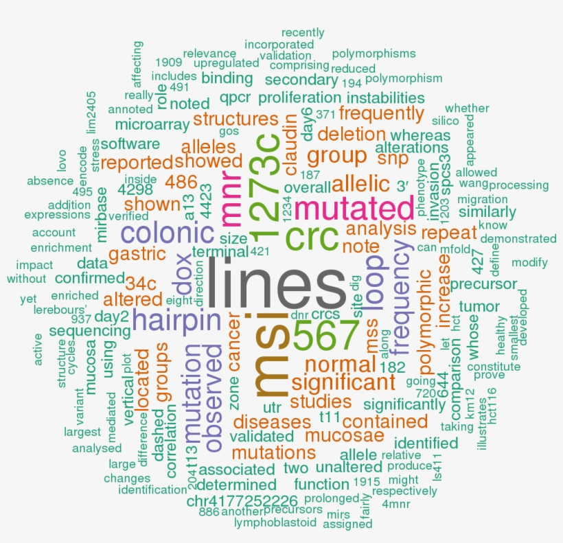 Stem Loop Sequence Hsa Mir - Oncology Emergencies, transparent png