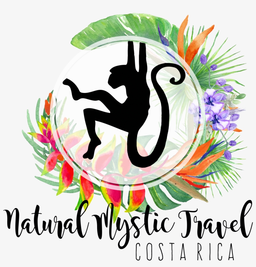 Natural Mystic Travel - Infinite Number Of Monkeys: A Guide, transparent png