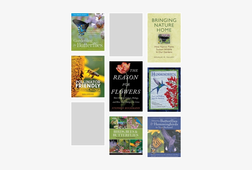 Attracting Butterflies, Birds, And Pollinators To Your - Reason For Flowers By Stephen L. Buchmann, transparent png