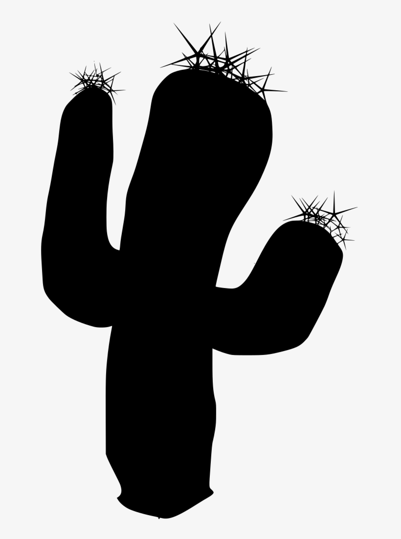 Download Png - Desert Plants Food Web, transparent png