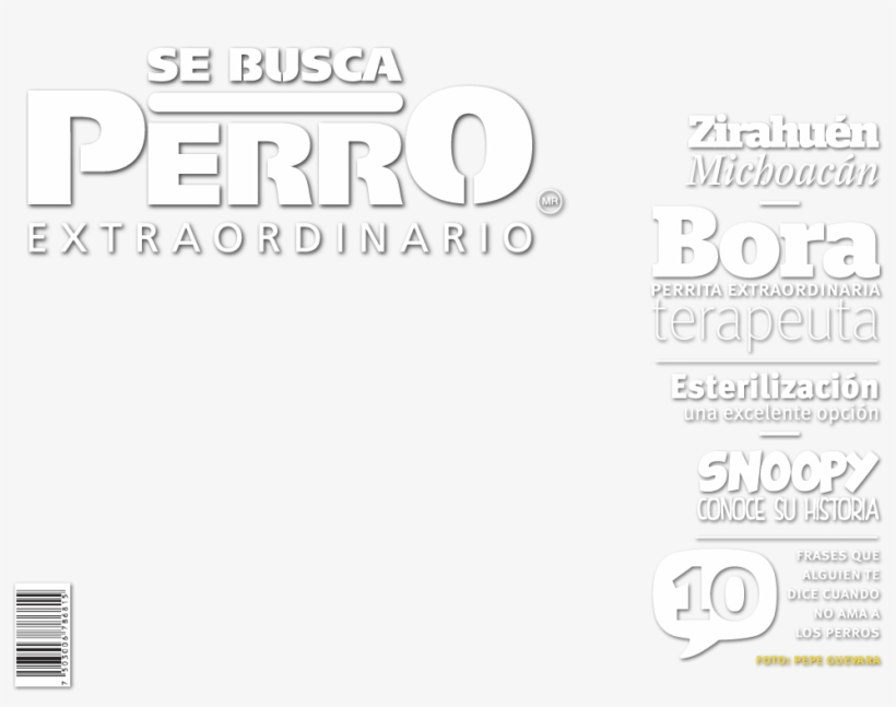 Se Busca Perro Extraordinario No - Dog, transparent png