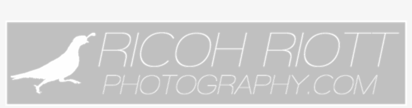 Ricoh Riott - Photography, transparent png