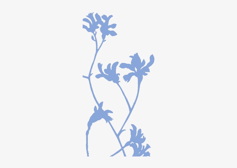 Subscribe - New South Wales, transparent png