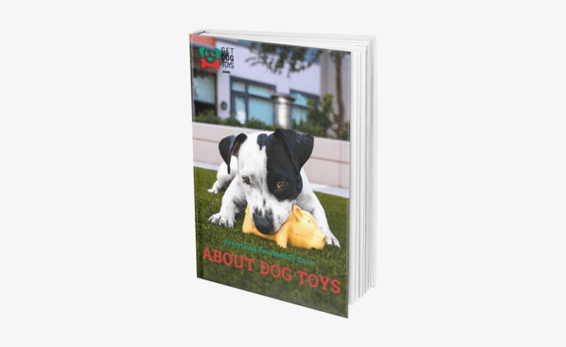 Do You Want To Know Which Dog Toy Is Best Suited For - Pasto Natural Pasto Sintetico, transparent png