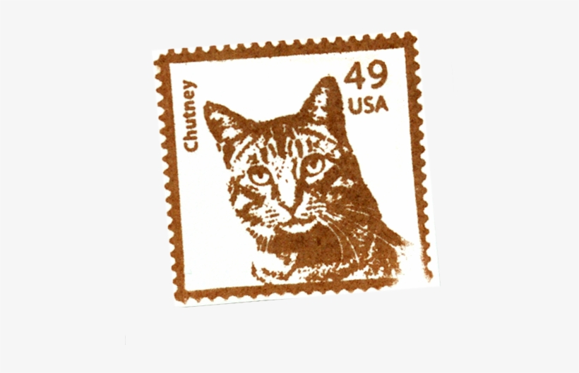 Or Choose A Ready-made Stamp - Cat, transparent png