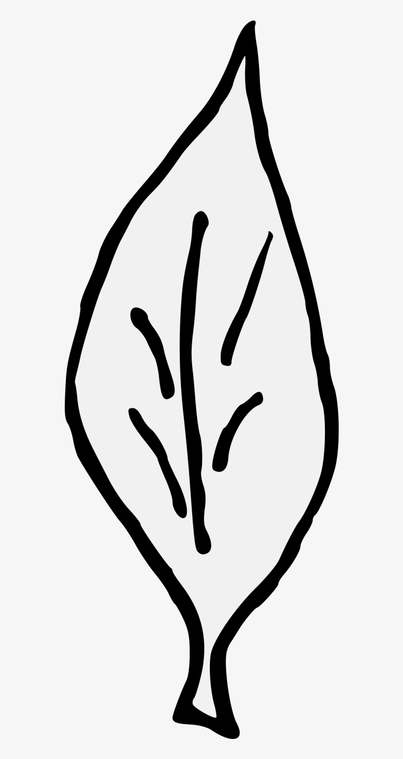 Laurel Traceable Heraldic Art Png Laurel Leaves Svg, transparent png