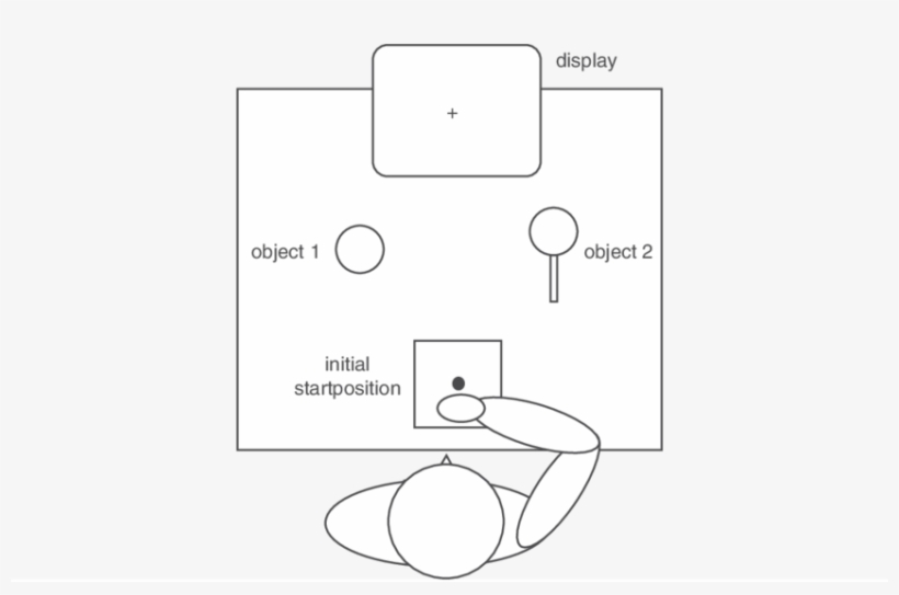 A Cup , A Magnifying Glass (object 2) And A Computer - Diagram, transparent png