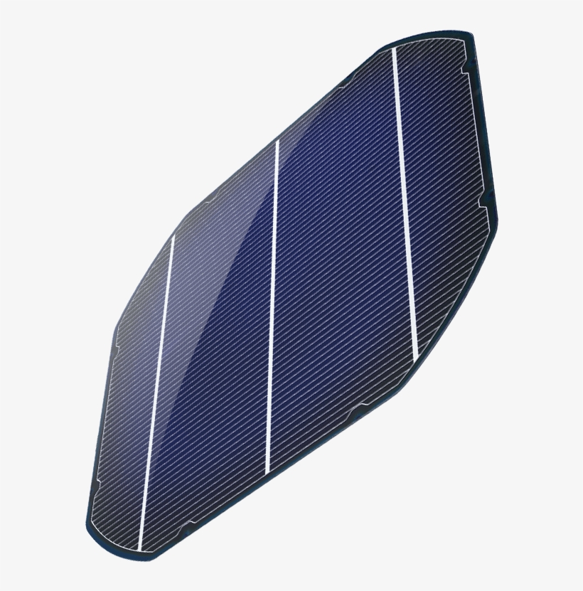 Let's Change The World - Net, transparent png