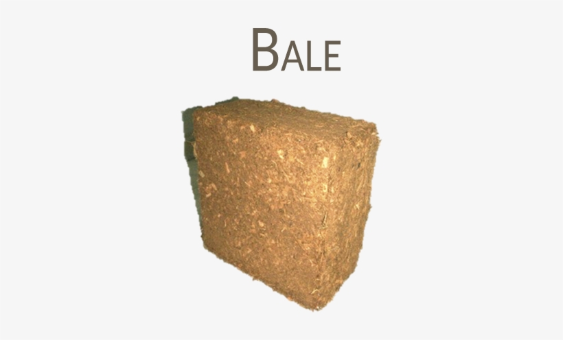 Accessibility Statement - Igneous Rock, transparent png