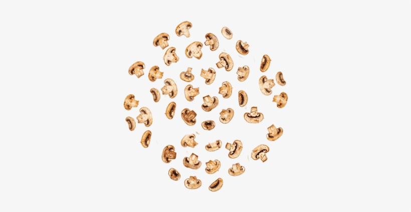 Hongos-extra - Seed, transparent png