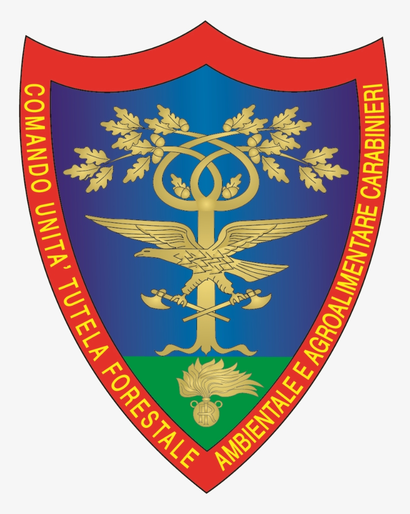 Arma Dei Carabinieri Comando Unità Tutela Forestale, - Comando Unità Tutela Forestale Ambientale E Agroalimentare, transparent png