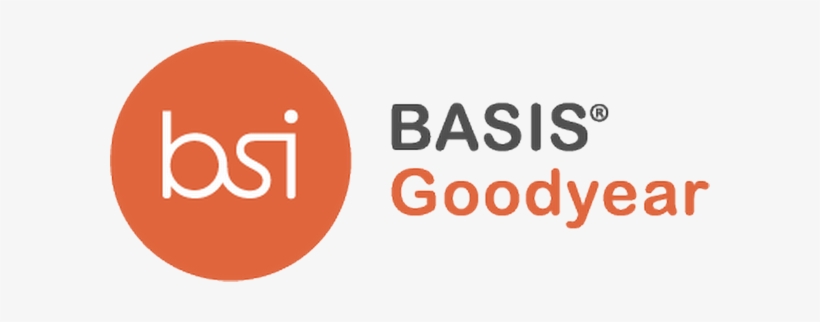 Basis Goodyear - Shekhawati University 1st Year Result, transparent png