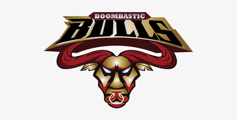 Logo For Cricket Team, transparent png