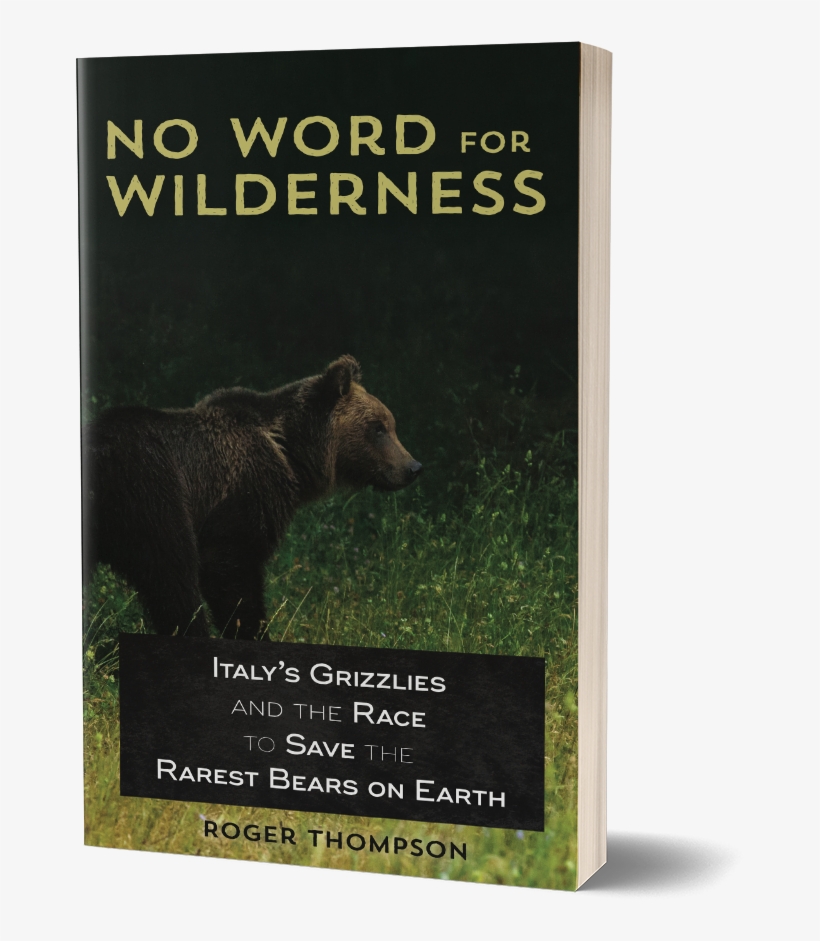 Cover Of No Word For Wilderness - No Word For Wilderness: Italy's Grizzlies And The Race, transparent png