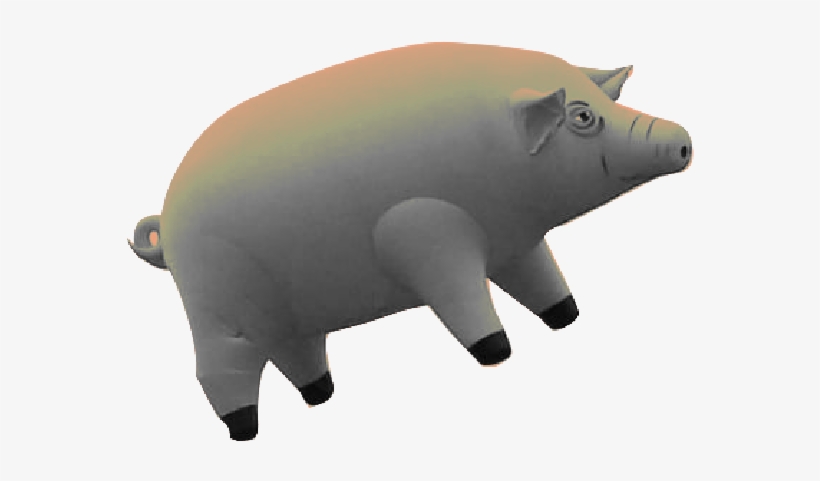 Pink Floyd's Flying Pigs - Pink Floyd Animals Pig Png, transparent png