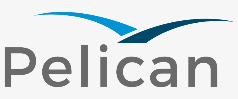 Pelican Ai, transparent png