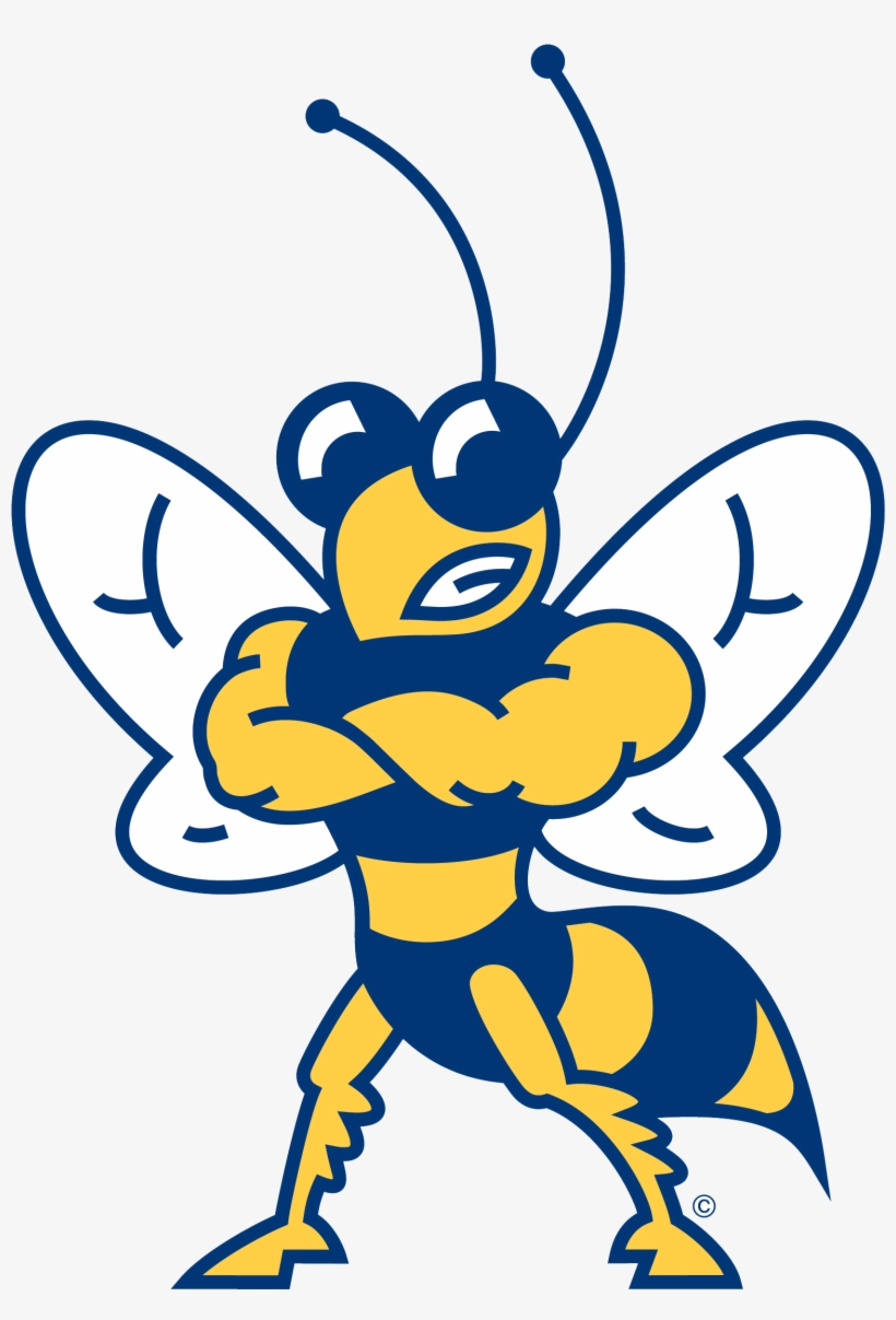 Howard Payne - Howard Payne University Yellow Jackets, transparent png