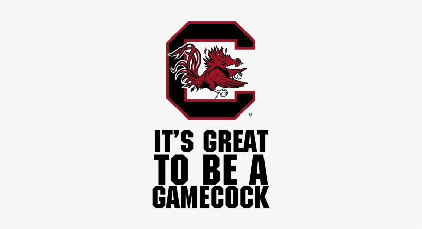 South Carolina Women's Basketball Logo, transparent png