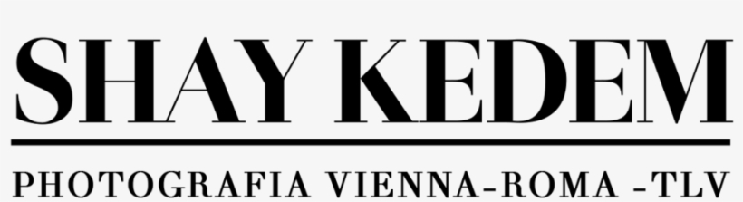 Shay Kedem Studio, transparent png