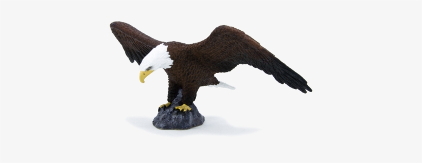 American Bald Eagle - Mojo American Bald Eagle, transparent png
