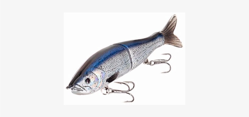 Download - Bass Pro Boss Glide, transparent png