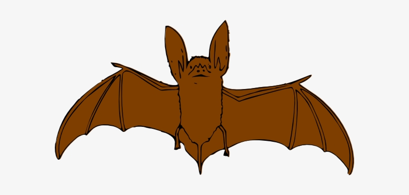 Brown Bat Svg Clip Arts 600 X 312 Px, transparent png