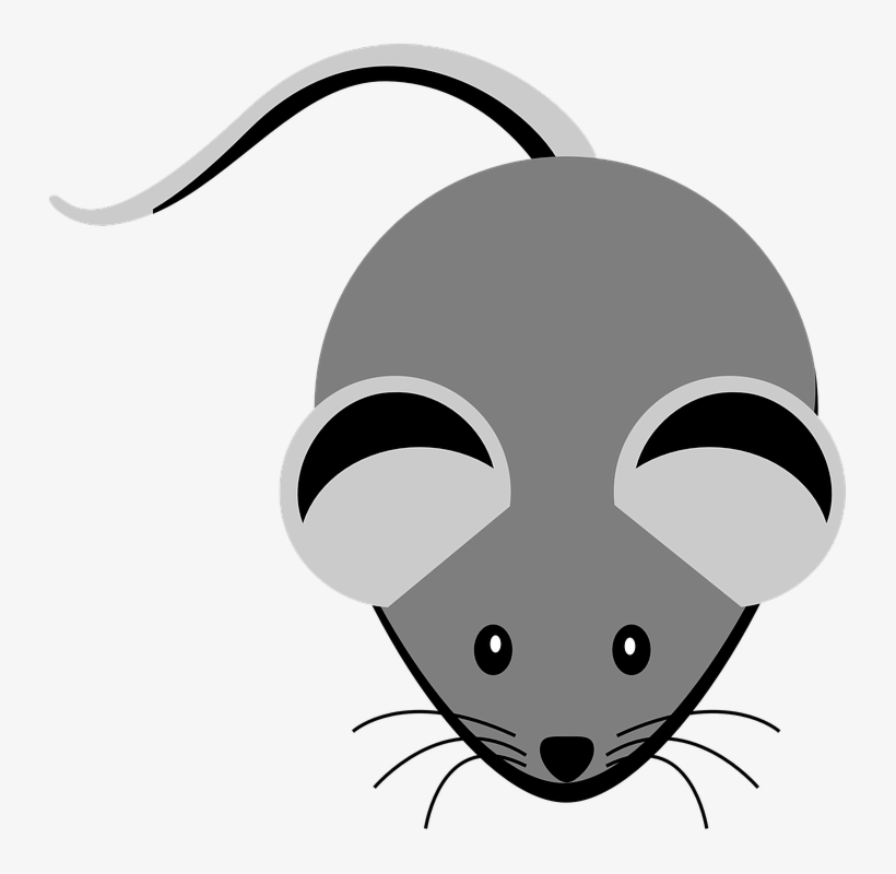 Mice Clipart Nose - Grey Clipart, transparent png