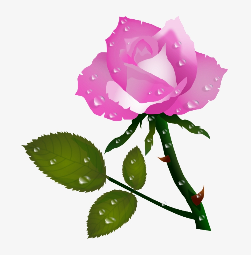 Pink Rose Clipart Pretty Pink - Rose Flower P, transparent png