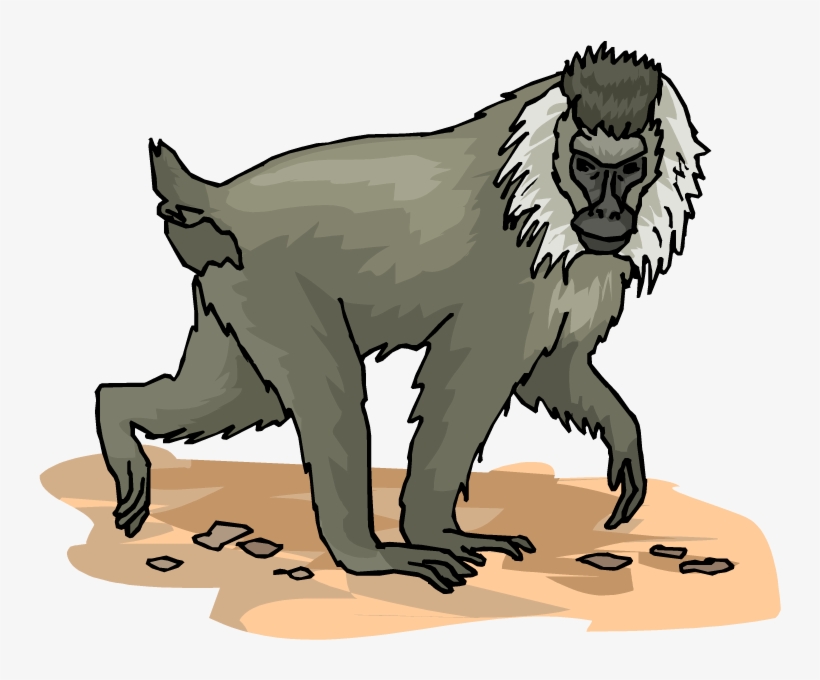 Monkey Clipart Clipart - Baboons, transparent png