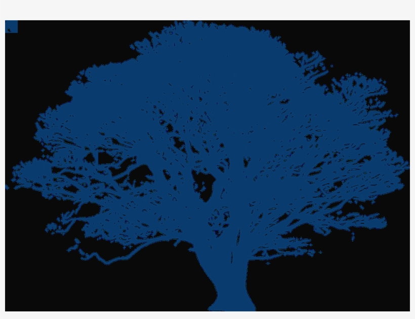 Tree, transparent png