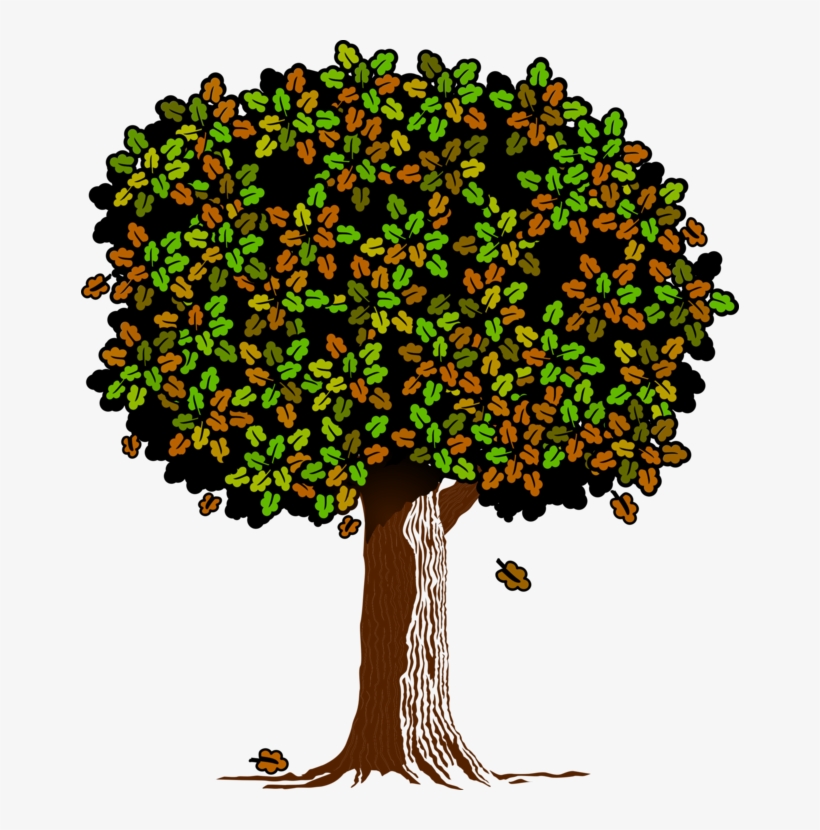 All Photo Png Clipart - Clip Art, transparent png