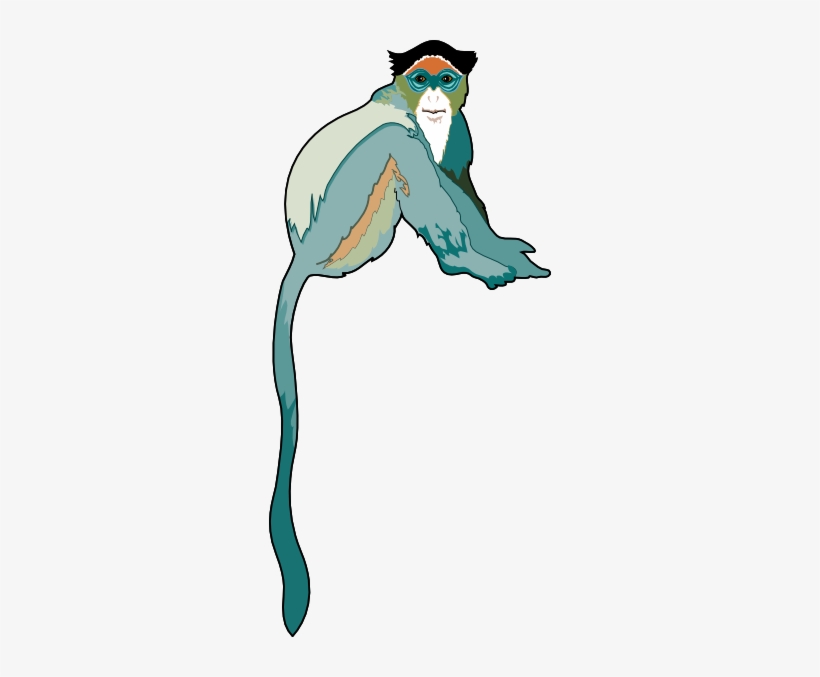 How To Set Use Colorful Monkey Svg Vector, transparent png