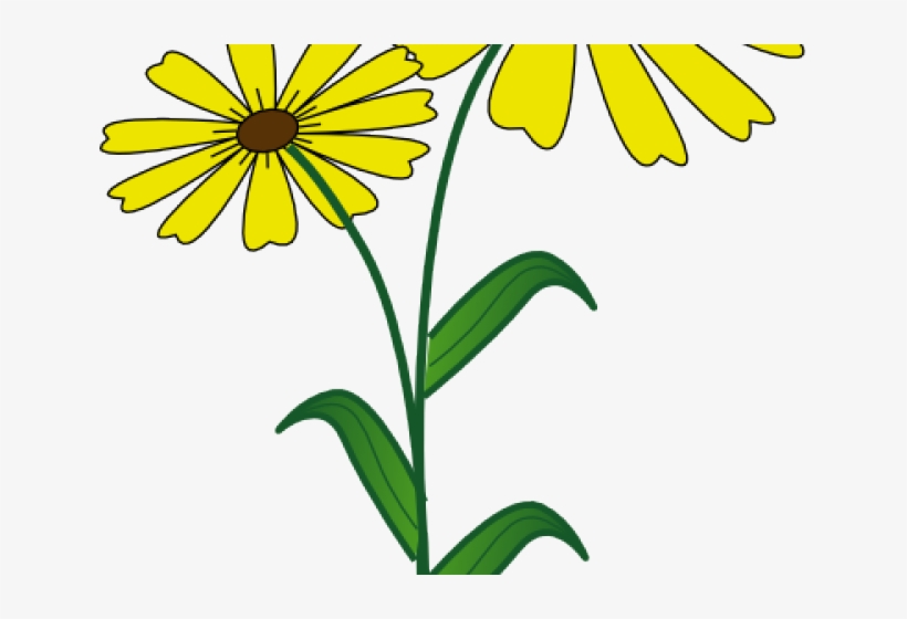 Daisy Clipart Flowering Plant - Clip Art, transparent png