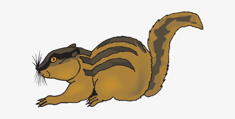 Forest Animals On Pinterest Woodland - Clipart Chipmunk, transparent png