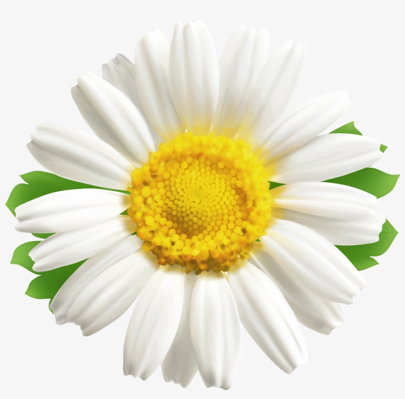 Portable Network Graphics, transparent png