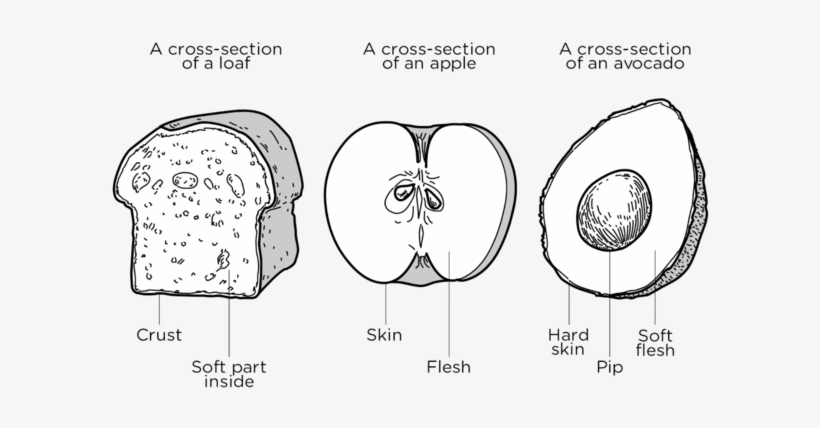 Three Different Possible Models Of The Layers Of Earth - Cartoon, transparent png