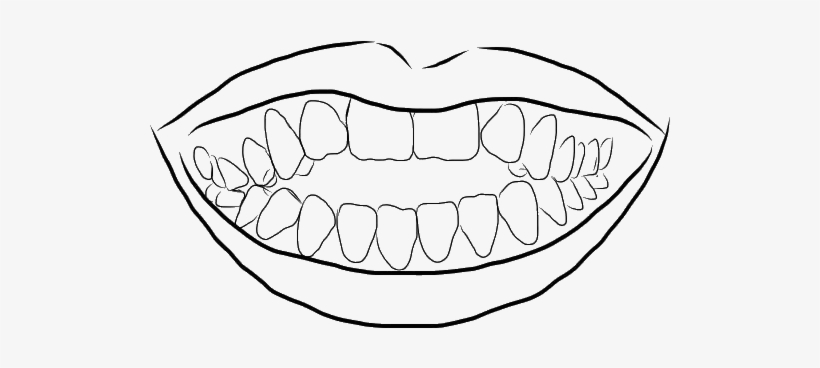 Invisalign® - Outline Of An Open Mouth Showing Teeth, transparent png