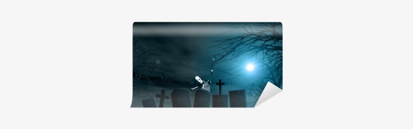 Halloween Background With Spooky Trees And Skeleton - Loon, transparent png