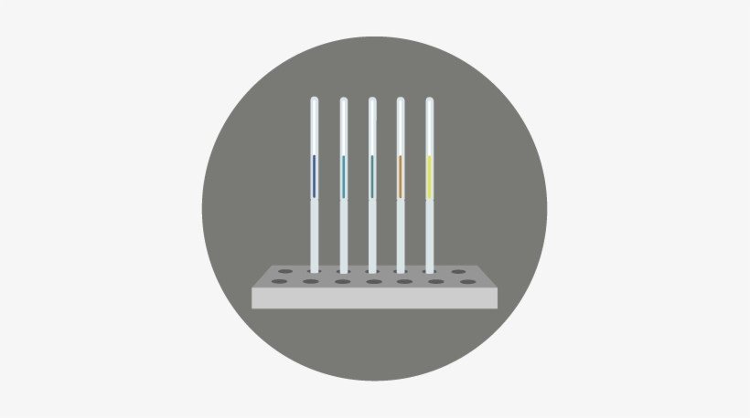 Avantium's Business Units - Picket Fence, transparent png