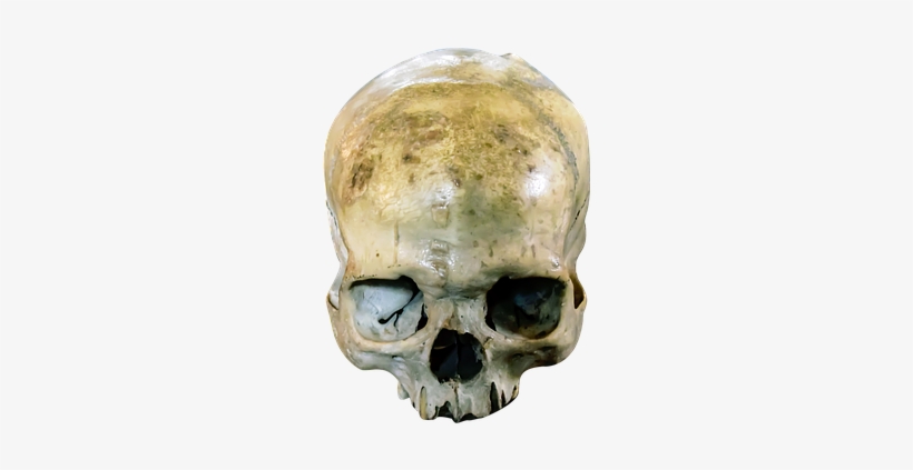 Stock.xchng, transparent png