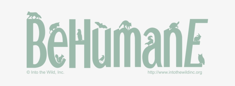 Picture - Into The Wild, Inc., transparent png