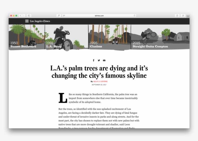 Palm Trees Topper - Los Angeles, transparent png