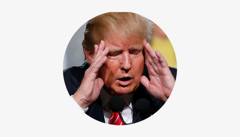 Most Likely To Become President - Trump Disapproval, transparent png