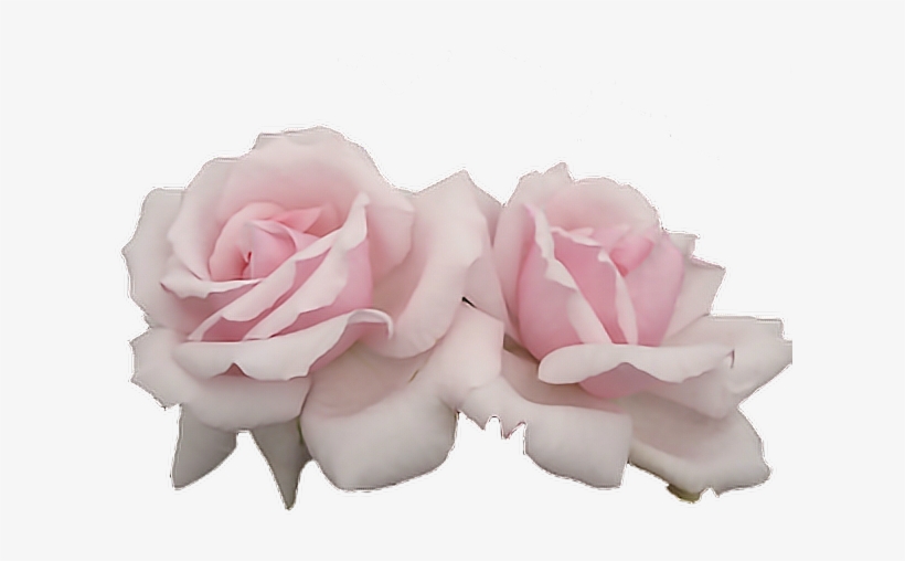 Report Abuse - Pink Aesthetic Flowers Png, transparent png