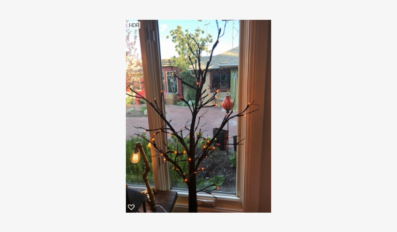 6ft Lighted Spooky Tree - Tree, transparent png